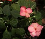     
: IMG_3531.jpg
: 7
:	94.5 
ID:	5002215
