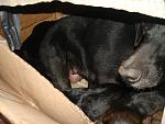     
: DSC08003.jpg
: 10
:	110.7 
ID:	5002510