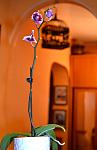    
: DSC_0357.JPG
: 10
:	143.7 
ID:	5003051