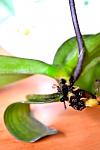     
: DSC_0441.JPG
: 9
:	159.6 
ID:	5003054