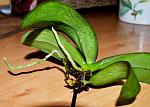     
: DSC_0415.JPG
: 11
:	263.1 
ID:	5003058