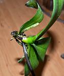     
: DSC_0422.JPG
: 8
:	250.9 
ID:	5003060