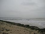     
: IMG_8588.jpg
: 21
:	80.8 
ID:	5003847