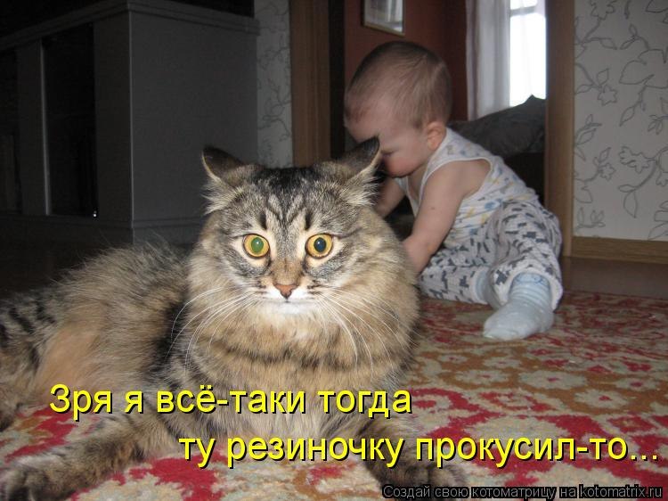     
: qG0ihplYtyU.jpg
: 7
:	80.3 
ID:	5003939