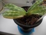     
: DSCN3429.jpg
: 37
:	87.2 
ID:	5007985