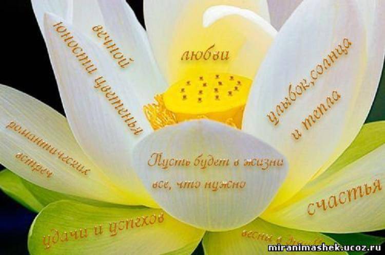     
: NkxkbSrCOu.jpg
: 1
:	39.0 
ID:	5009539