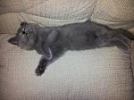     
: 2012-10-11 19.30.46.jpg
: 30
:	152.5 
ID:	5012451