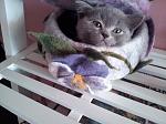     
: 2012-10-06 14.54.58.jpg
: 23
:	101.8 
ID:	5012452