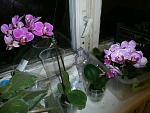     
: PA150613.jpg
: 8
:	125.1 
ID:	5013597