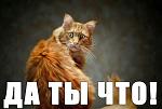     
: 12585392234613.jpg
: 24
:	22.2 
ID:	5013751