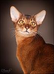     
: IMG_9376.jpg
: 3
:	214.4 
ID:	5013968