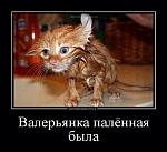     
: getImage33344.jpeg
: 27
:	33.8 
ID:	5014422