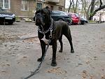     
: Апрель 2012 г.jpg
: 10
:	219.0 
ID:	5016440