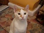     
: DSC07861.jpg
: 10
:	81.3 
ID:	5019615