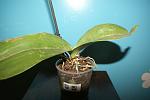     
: DSC05463.jpg
: 9
:	75.1 
ID:	5021940