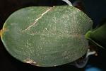     
: DSC05466.jpg
: 5
:	114.8 
ID:	5021948