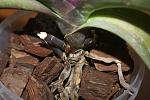     
: DSC05732.jpg
: 8
:	115.4 
ID:	5021985
