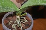    
: DSC05731.jpg
: 10
:	101.6 
ID:	5021993