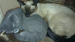    
: 2012-10-18 21.53.32.jpg
: 6
:	148.2 
ID:	5029202