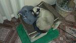     
: 2012-10-18 21.50.24.jpg
: 6
:	113.0 
ID:	5029203