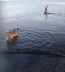     
: cпасатели.jpg
: 74
:	143.3 
ID:	5030550