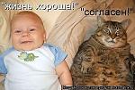     
: кот29.jpeg
: 9
:	46.8 
ID:	5032804