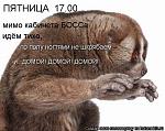     
: 455665.jpg
: 8
:	78.5 
ID:	5033596
