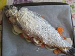     
: IMG_3722.jpg
: 15
:	153.0 
ID:	5033613
