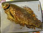     
: IMG_3726.jpg
: 15
:	178.5 
ID:	5033615