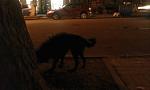     
: IMAG0579.jpg
: 20
:	46.8 
ID:	5034983