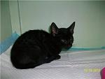     
: 853a1b9fb565.jpg
: 8
:	25.9 
ID:	5035399