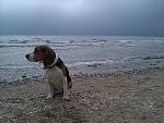     
: CameraZOOM-20121020113154358.jpg
: 12
:	198.5 
ID:	5036919