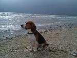     
: CameraZOOM-20121020113223457.jpg
: 14
:	223.3 
ID:	5036920