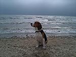     
: CameraZOOM-20121020113208887.jpg
: 12
:	209.7 
ID:	5036922