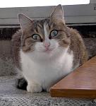     
: 392597.jpg
: 8
:	146.8 
ID:	5037767