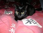     
: DSC01794.jpg
: 14
:	126.6 
ID:	5039307
