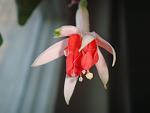     
: DSC07118.jpg
: 11
:	56.0 
ID:	5039355