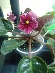     
: DSCF5165.jpg
: 43
:	111.1 
ID:	504079