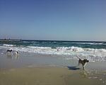     
: Фото-0185.jpg
: 35
:	171.6 
ID:	5042012