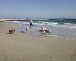     
: Фото-0186.jpg
: 31
:	182.0 
ID:	5042014