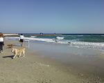     
: Фото-0183.jpg
: 29
:	175.4 
ID:	5042015