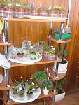     
: DSC00967.JPG
: 18
:	273.6 
ID:	5043877