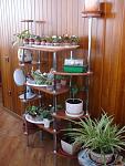     
: DSC00965.JPG
: 15
:	250.4 
ID:	5043878