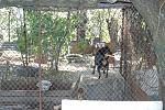     
: IMG_1563.jpg
: 47
:	247.4 
ID:	5044691