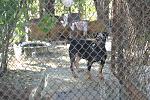     
: IMG_1564.jpg
: 40
:	197.3 
ID:	5044704