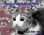     
: кот30.jpeg
: 9
:	40.7 
ID:	5046283