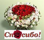     
: 22168c30fb9e.jpg
: 26
:	69.7 
ID:	5048102