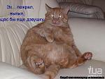     
: обед5.jpg
: 9
:	31.2 
ID:	5048107