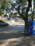     
: IMG_0947.jpg
: 3
:	183.3 
ID:	5048572