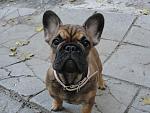     
: DSC05540.jpg
: 16
:	127.9 
ID:	5048828